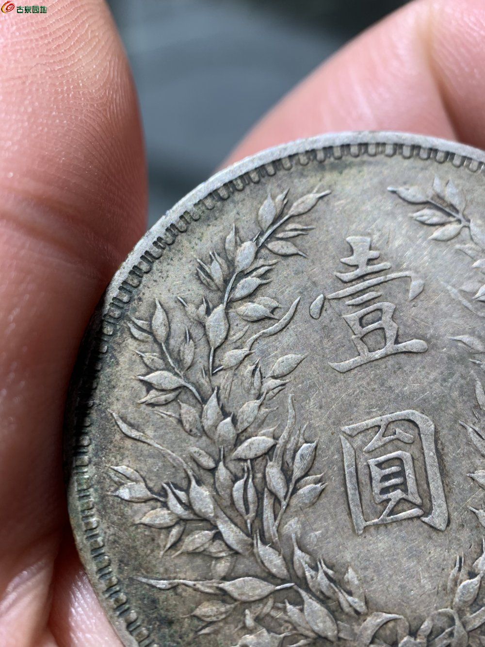 75D908AA-C964-4387-8314-8B5DBE609052.jpe