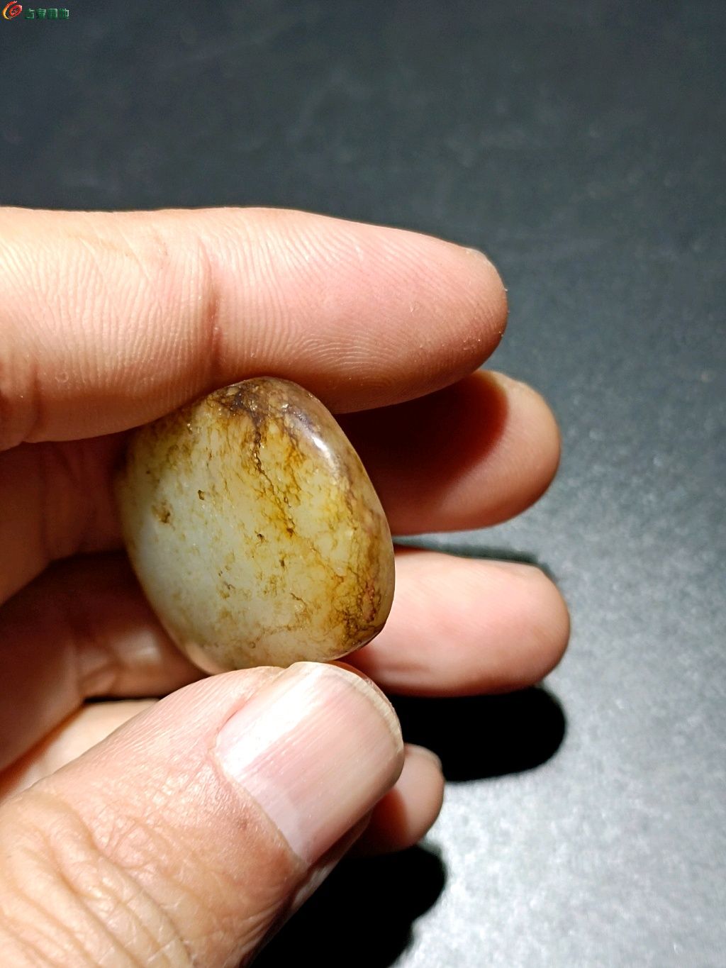 1766451204163.xfile.jpg