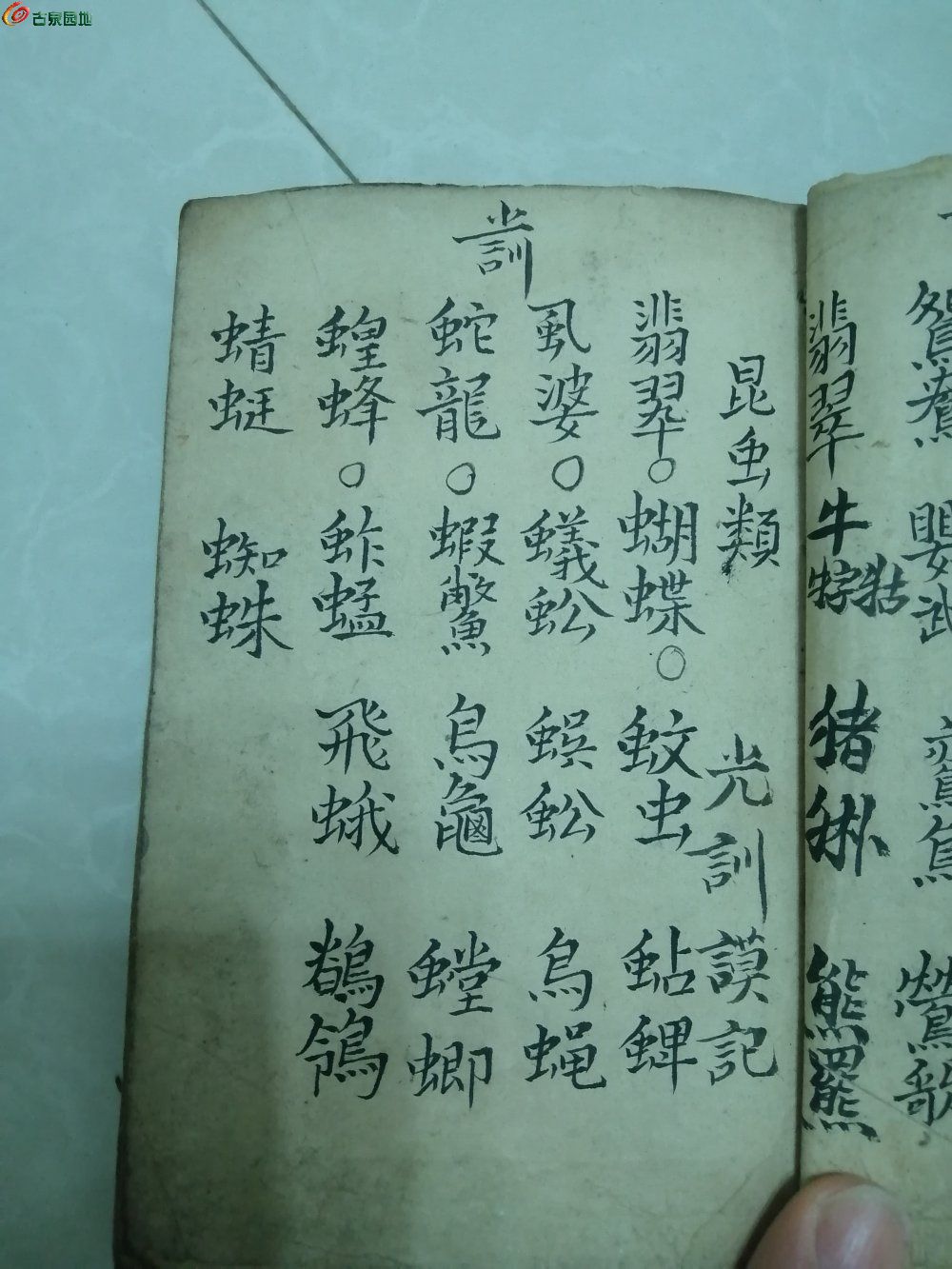 IMG_20230423_212827_edit_599990830512614