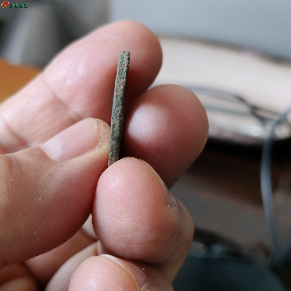 IMG20230424095921.jpg