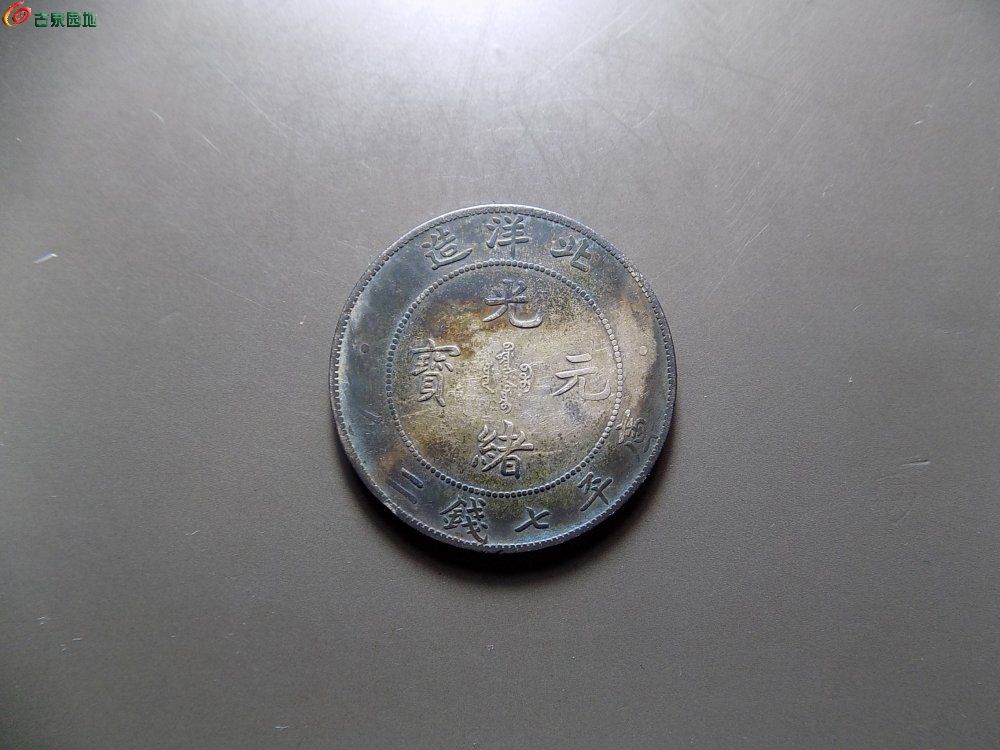 DSCN1559.JPG
