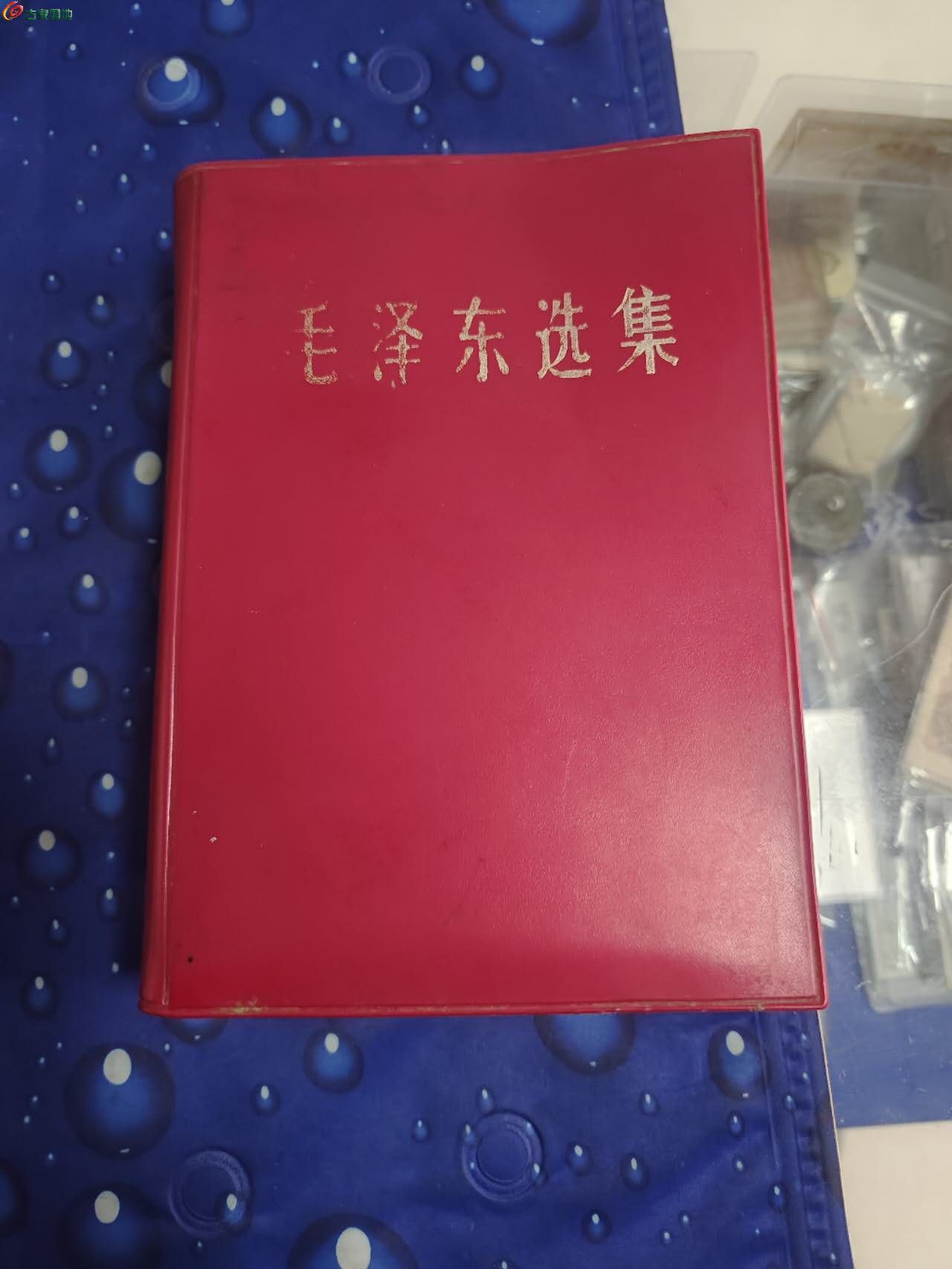 70817.jpg