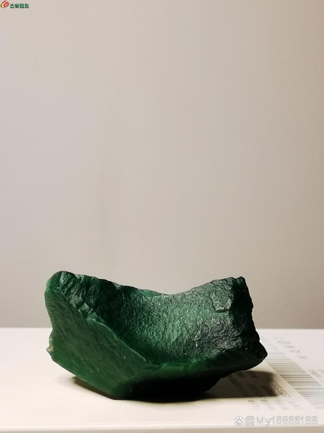 86928.jpg