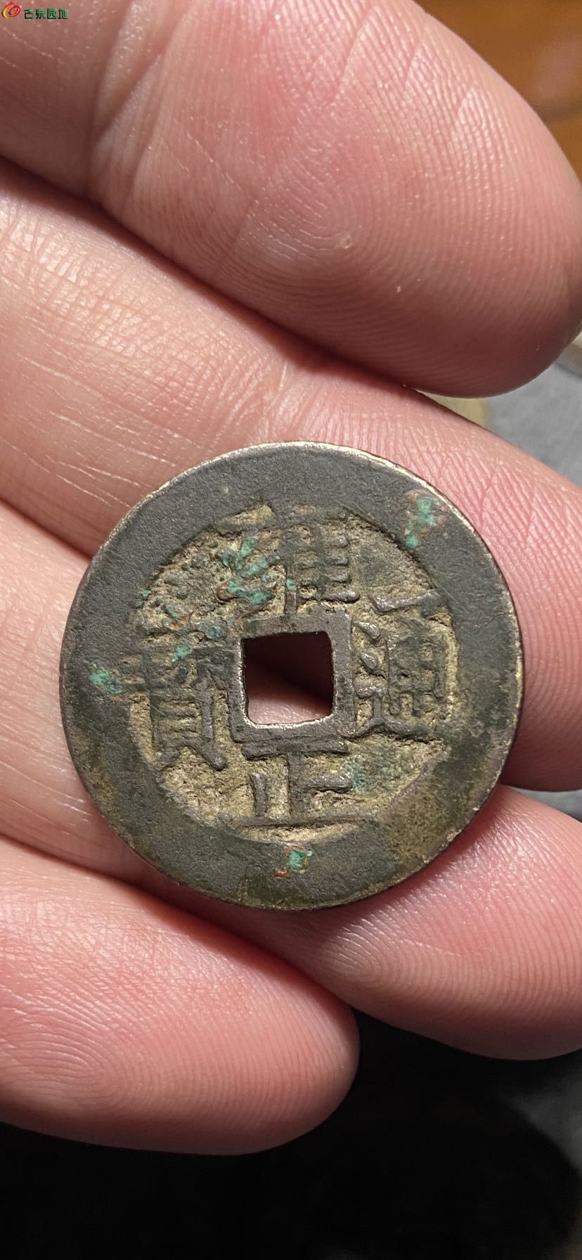 15911.jpg