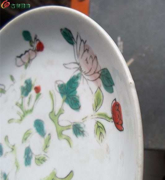 四季花卉碟2个1-6.jpg