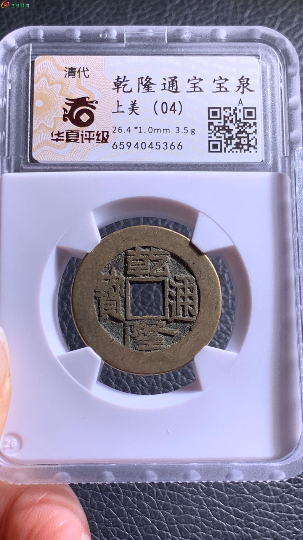 1766824230497.xfile.jpg