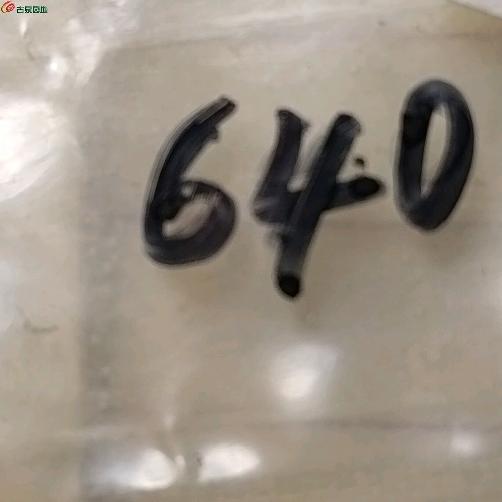 1766890358504.xfile.jpg