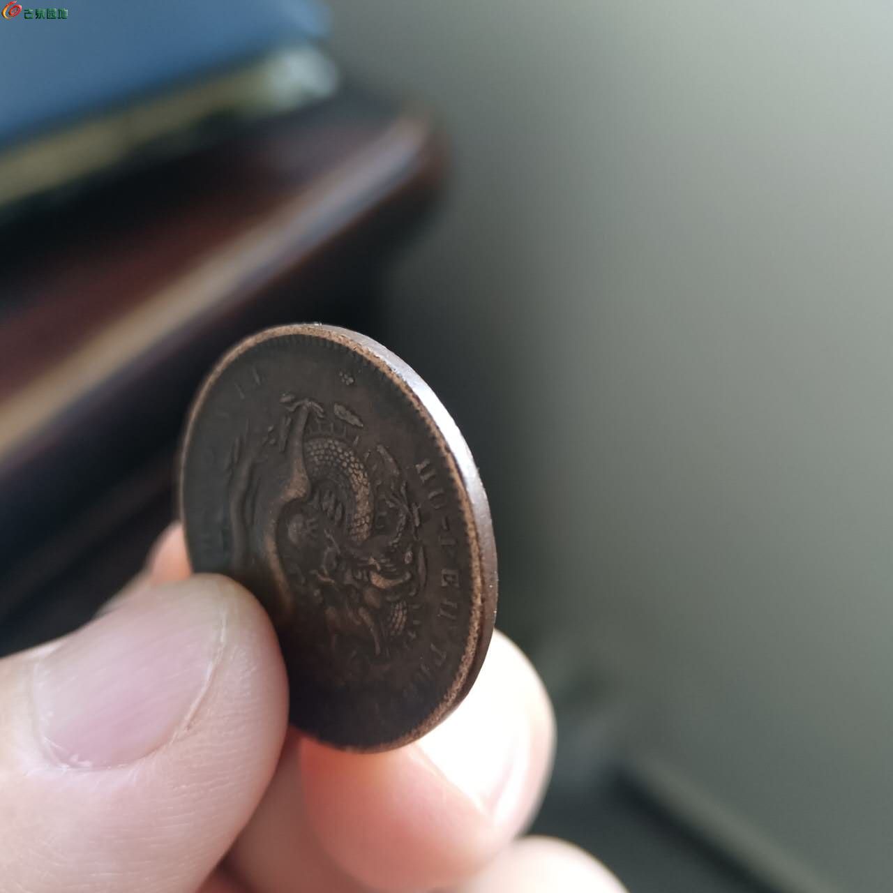 46570.jpg