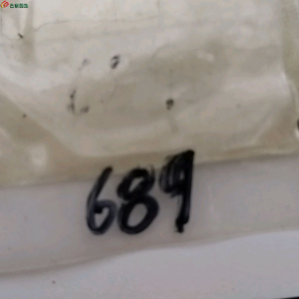 1767001108472.xfile.jpg
