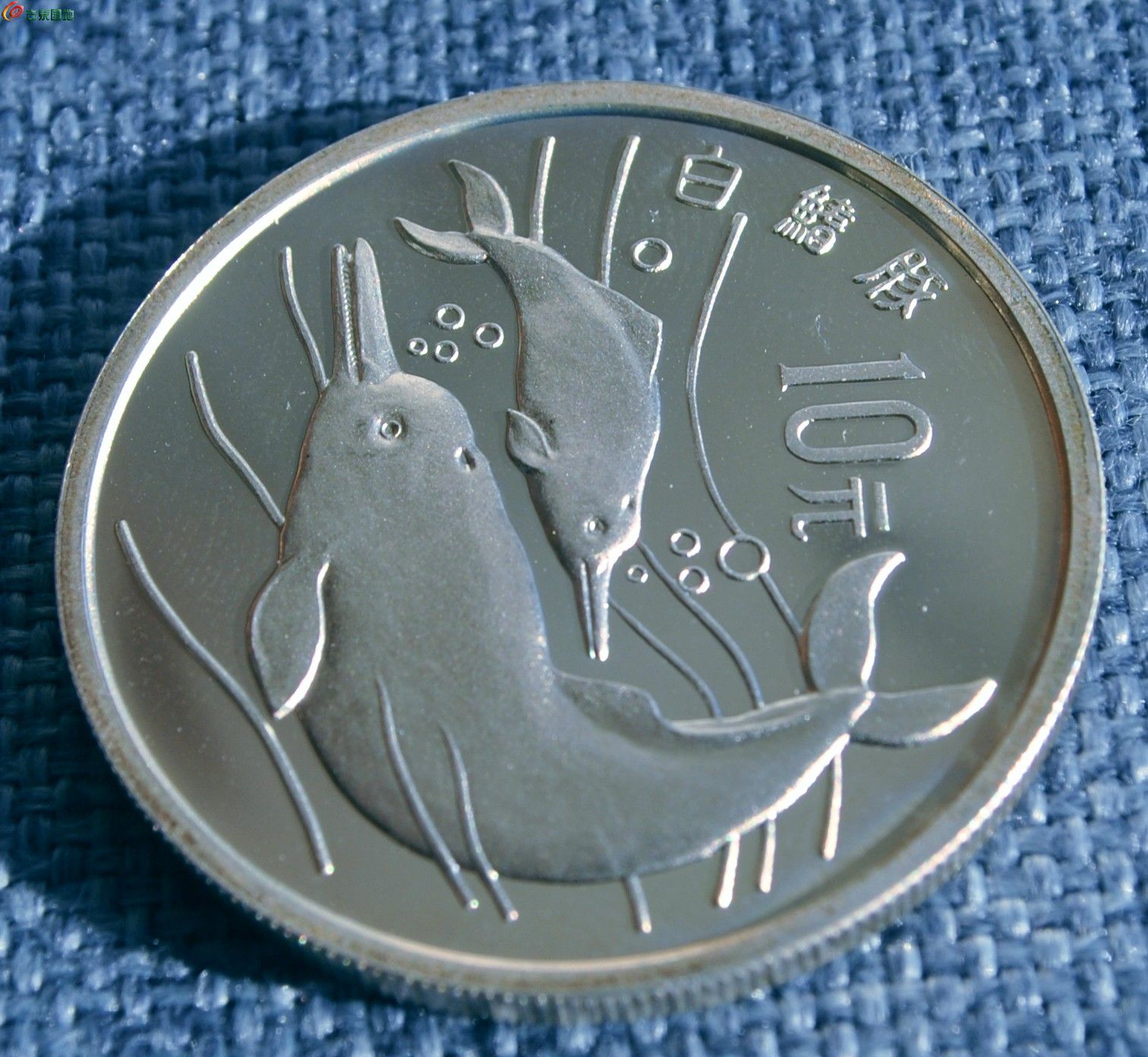 极美品原光1988年白鳍豚10元纪念银币局2.jpg