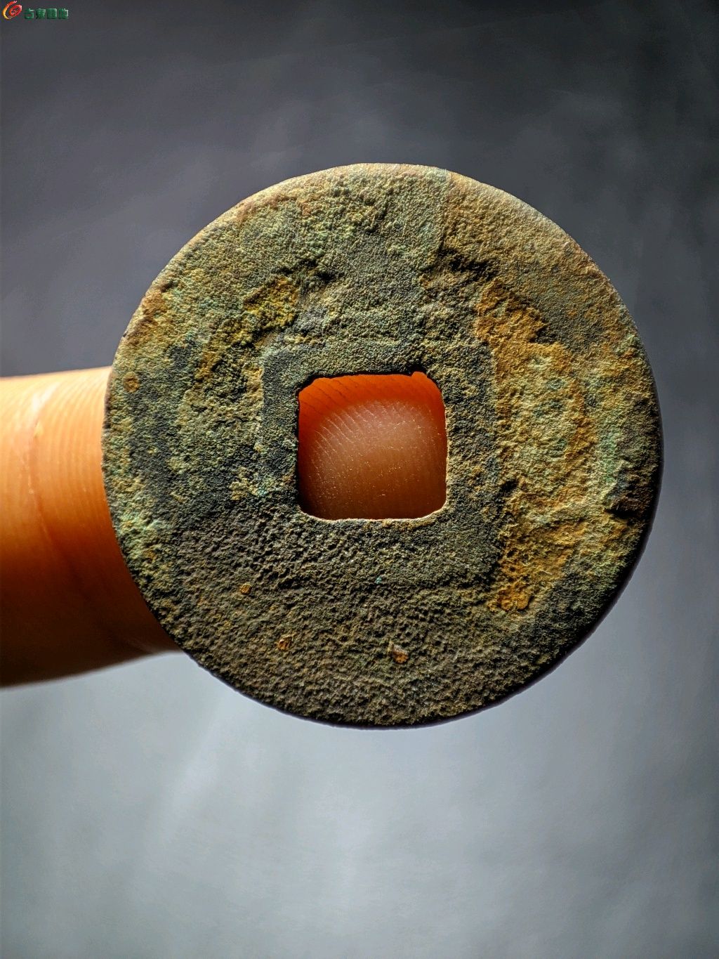 1768095564955.xfile.jpg