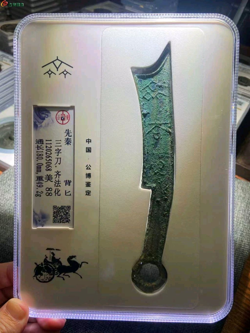 1767708629825.xfile.jpg