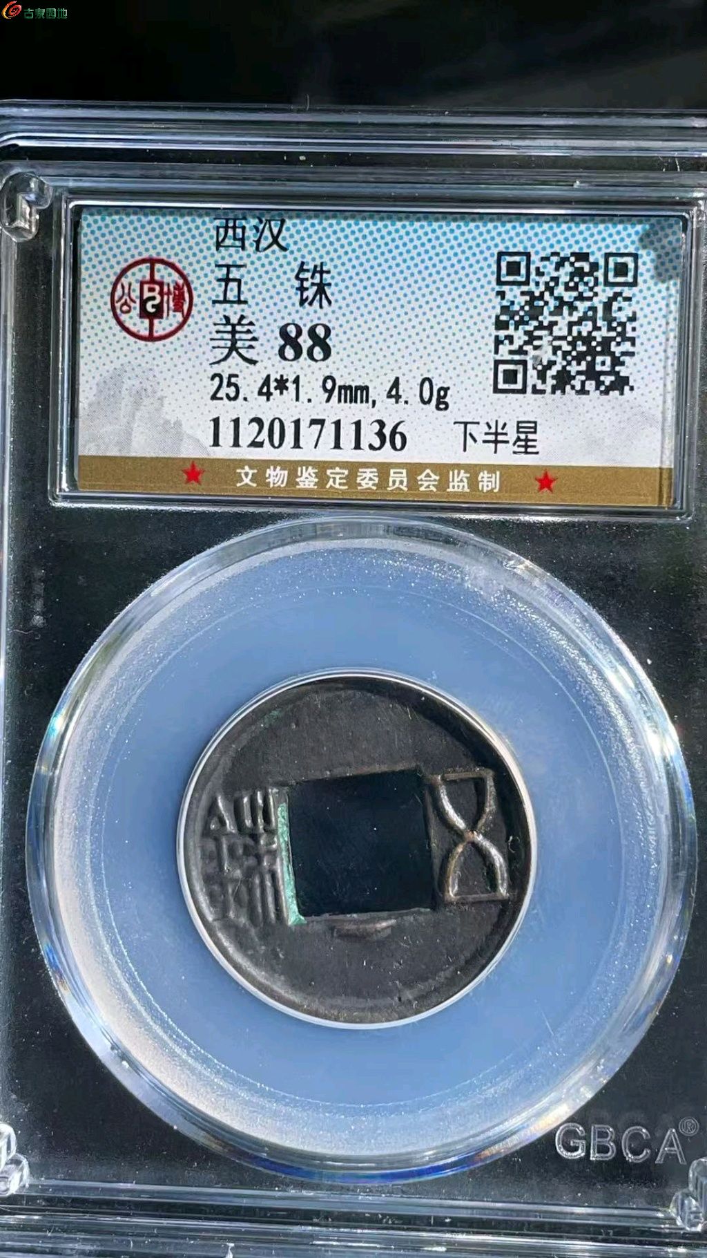 1768017352193.xfile.jpg