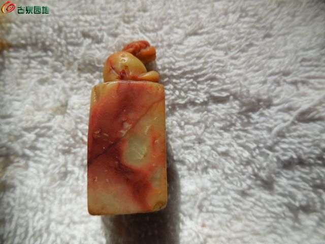 DSCN1138.JPG