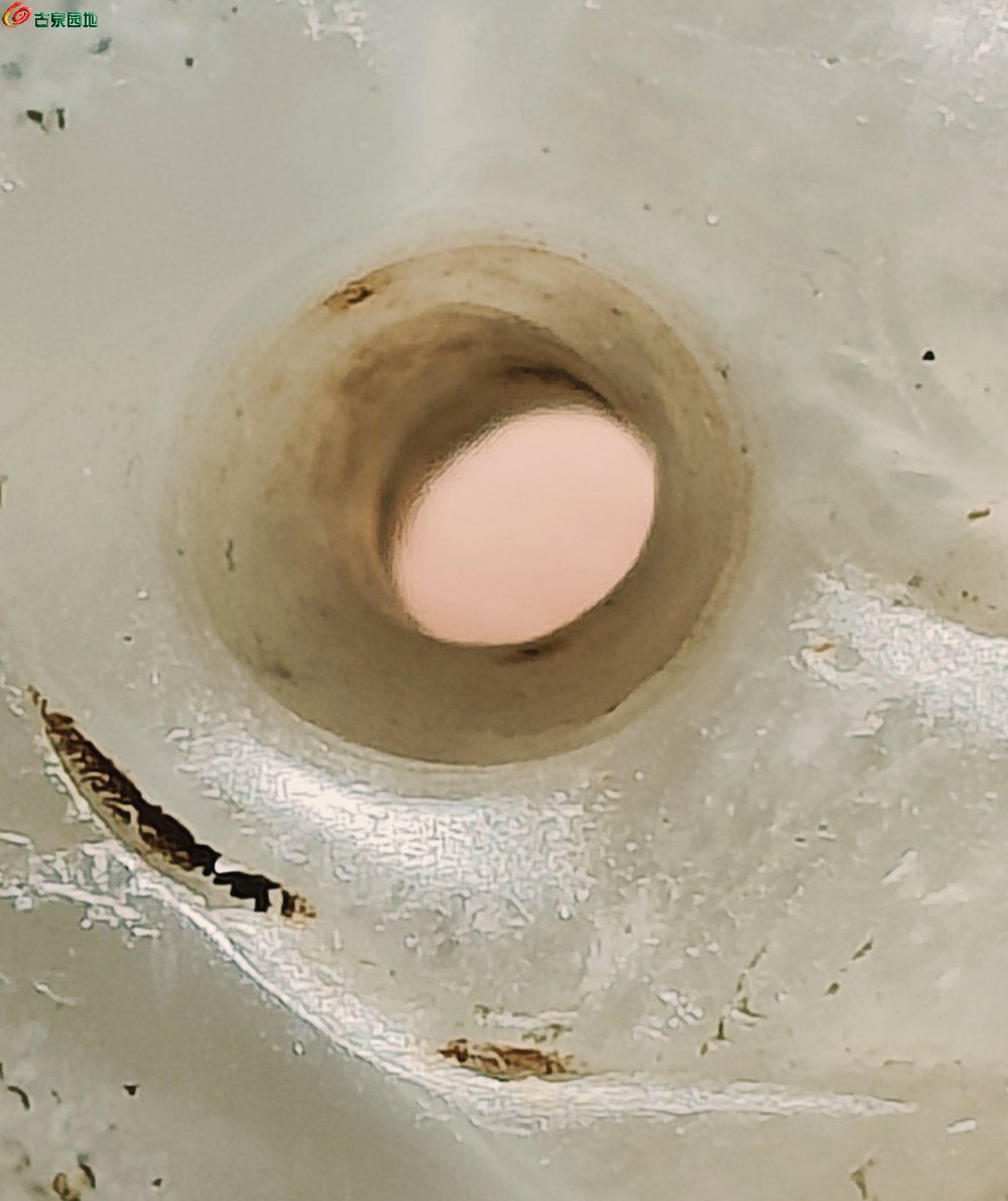 197,012a0098d9bebdcf.jpg