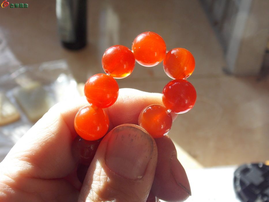 DSCN3369_调整大小.JPG