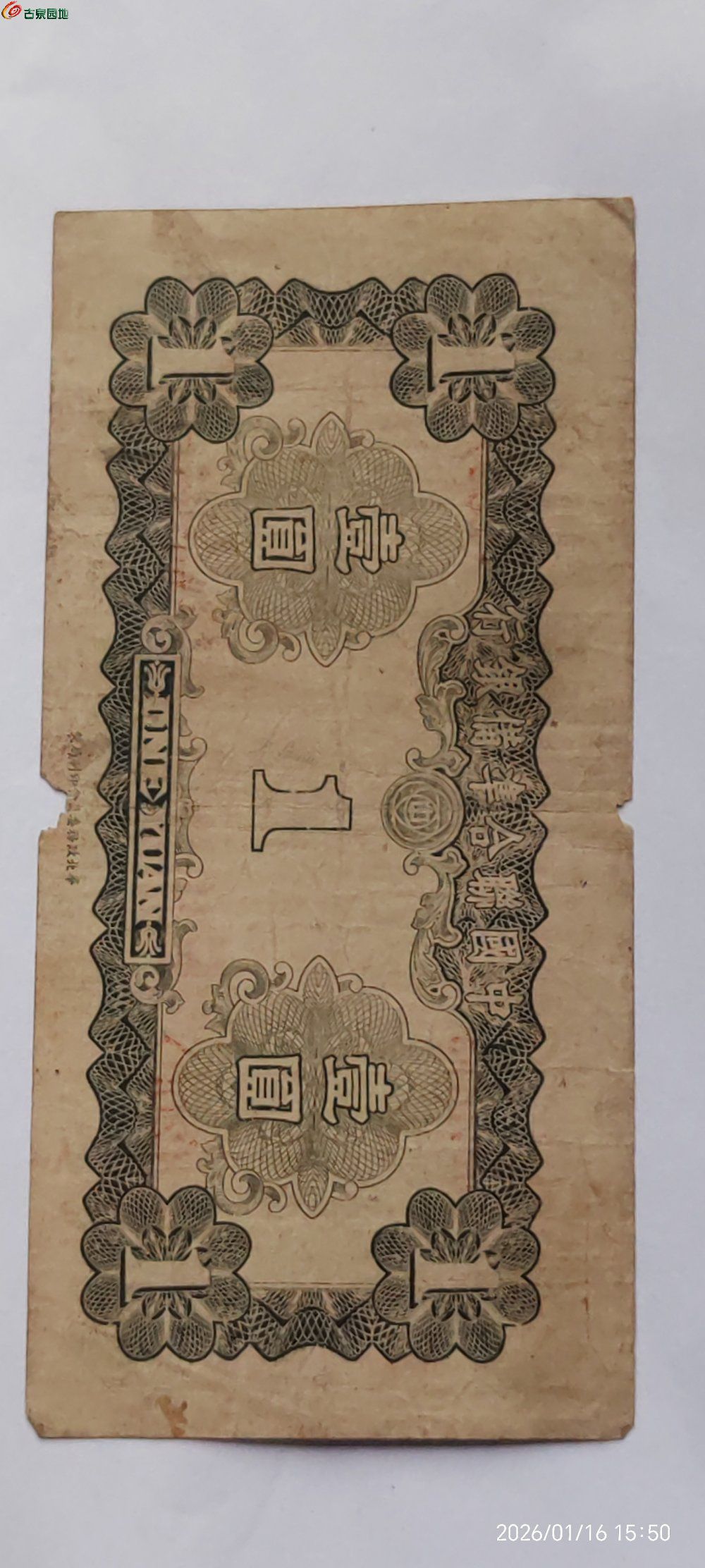 1768549804130.jpg