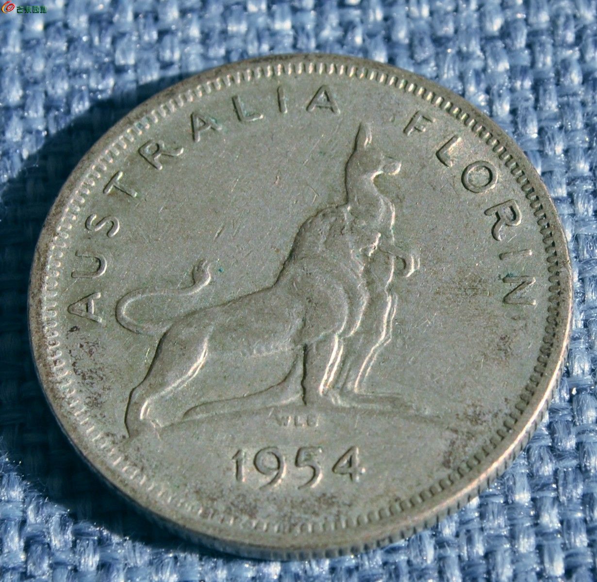 11克1954年澳大利亚袋鼠雄狮1弗罗林银币局1.jpg