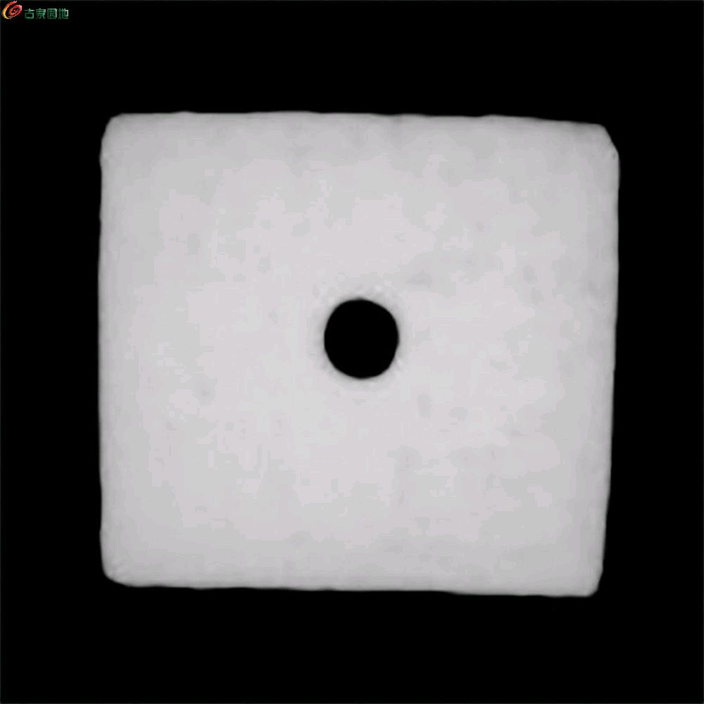1768890742830.xfile.jpg