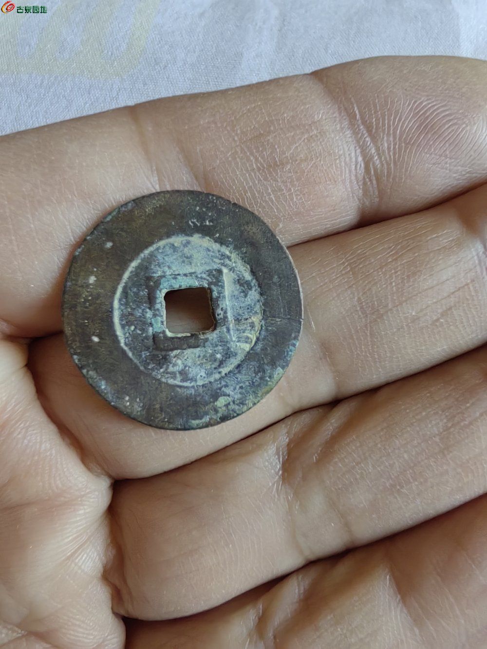 IMG_20260123_100238_edit_524121541253290