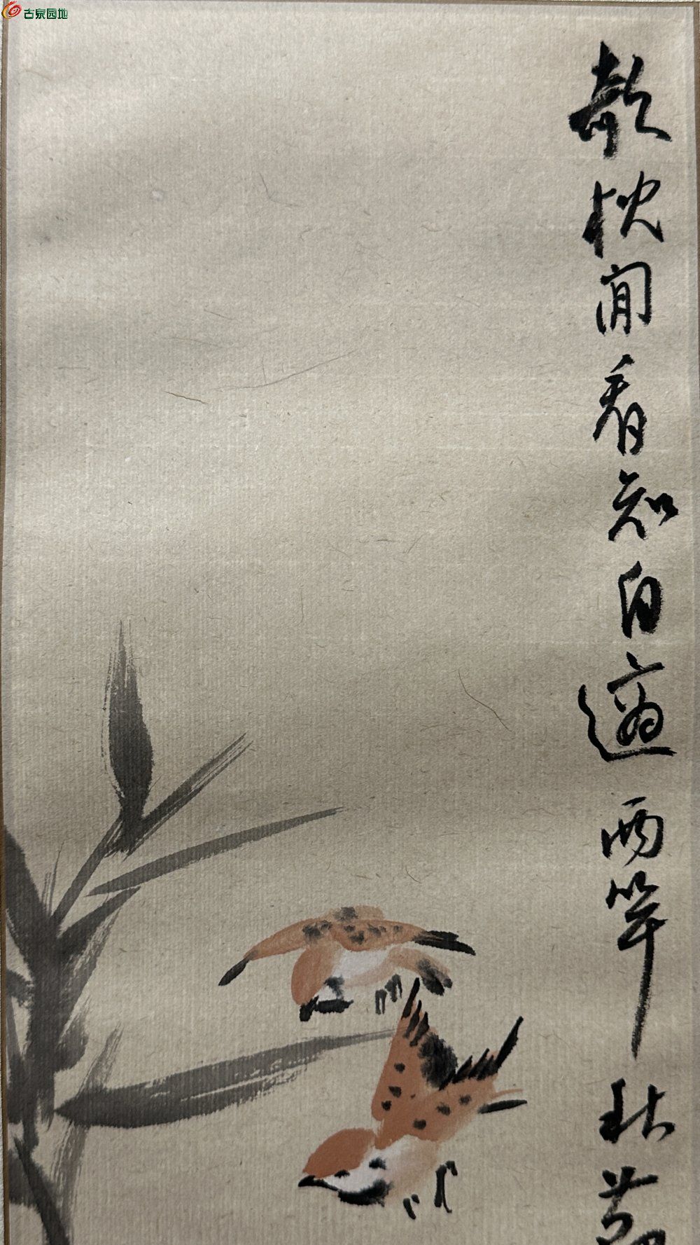 名家 张田 竹雀图字画2.jpg