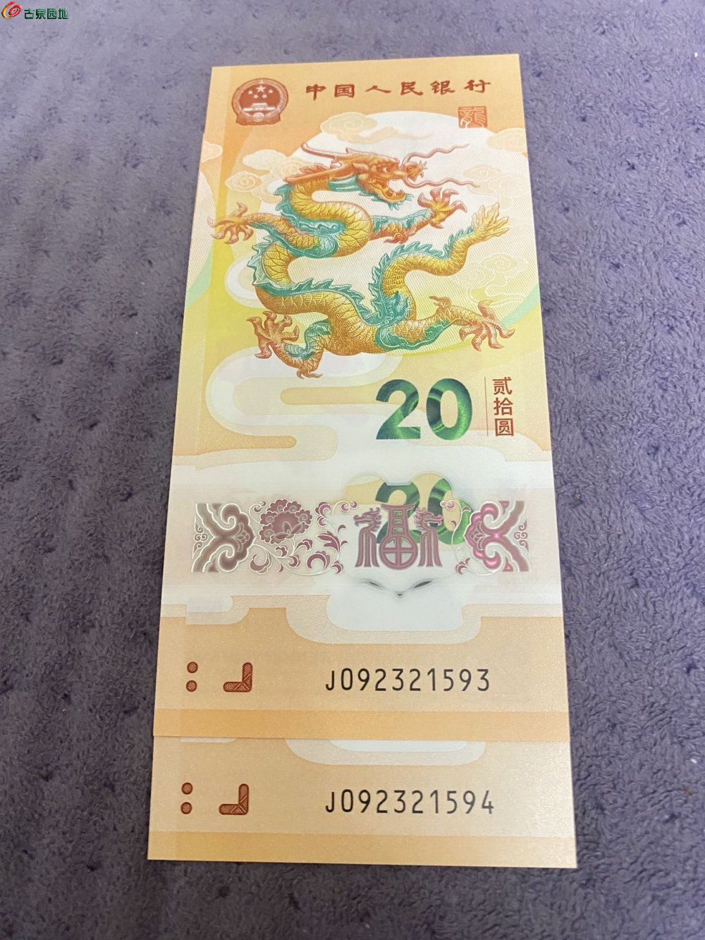 49643.jpg