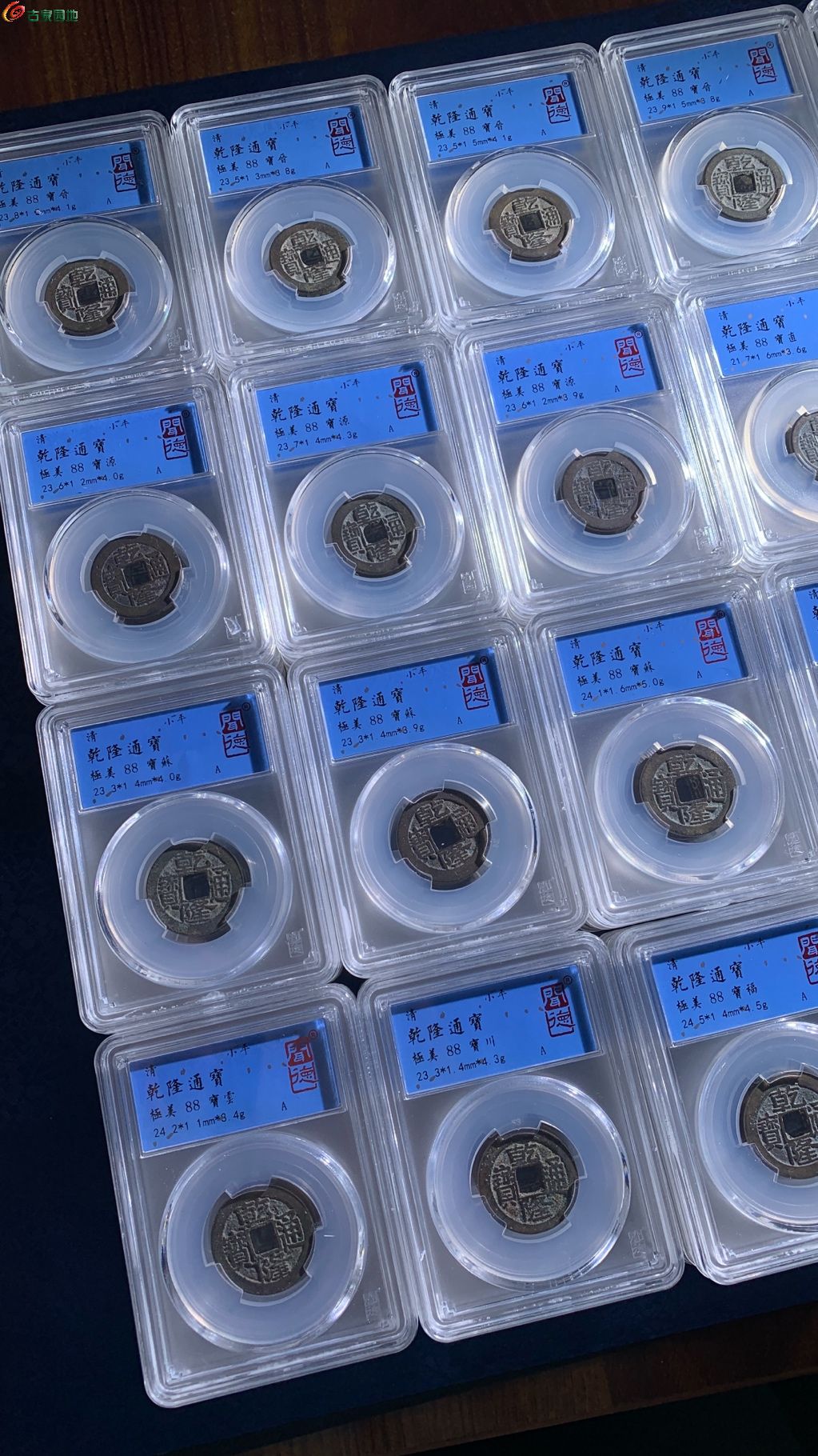 1769683020007.xfile.jpg