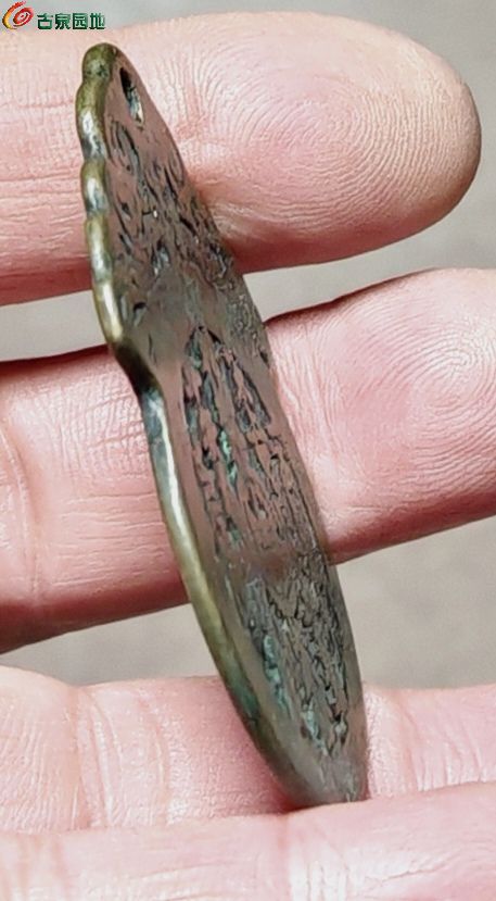 IMG_20260123_130736_edit_597973098626473