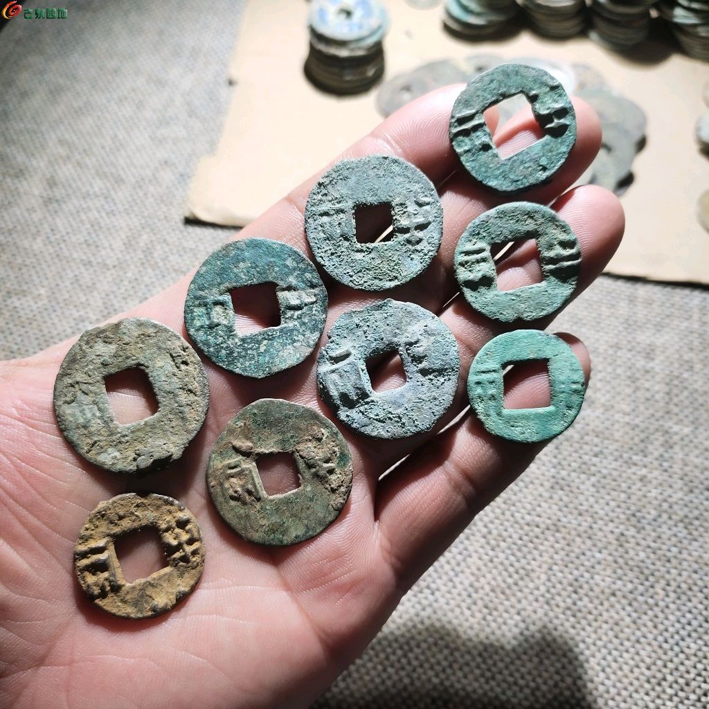 1769865606013.xfile.jpg