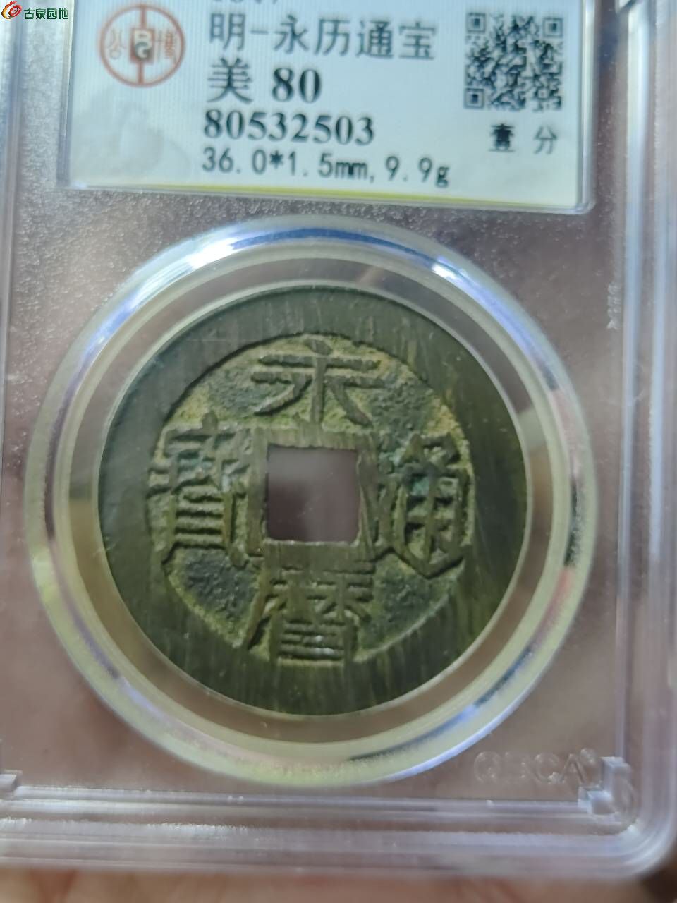 97654.jpg