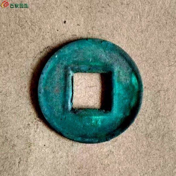 微信图片_20260201102432_1532_60_副本_副本.jpg