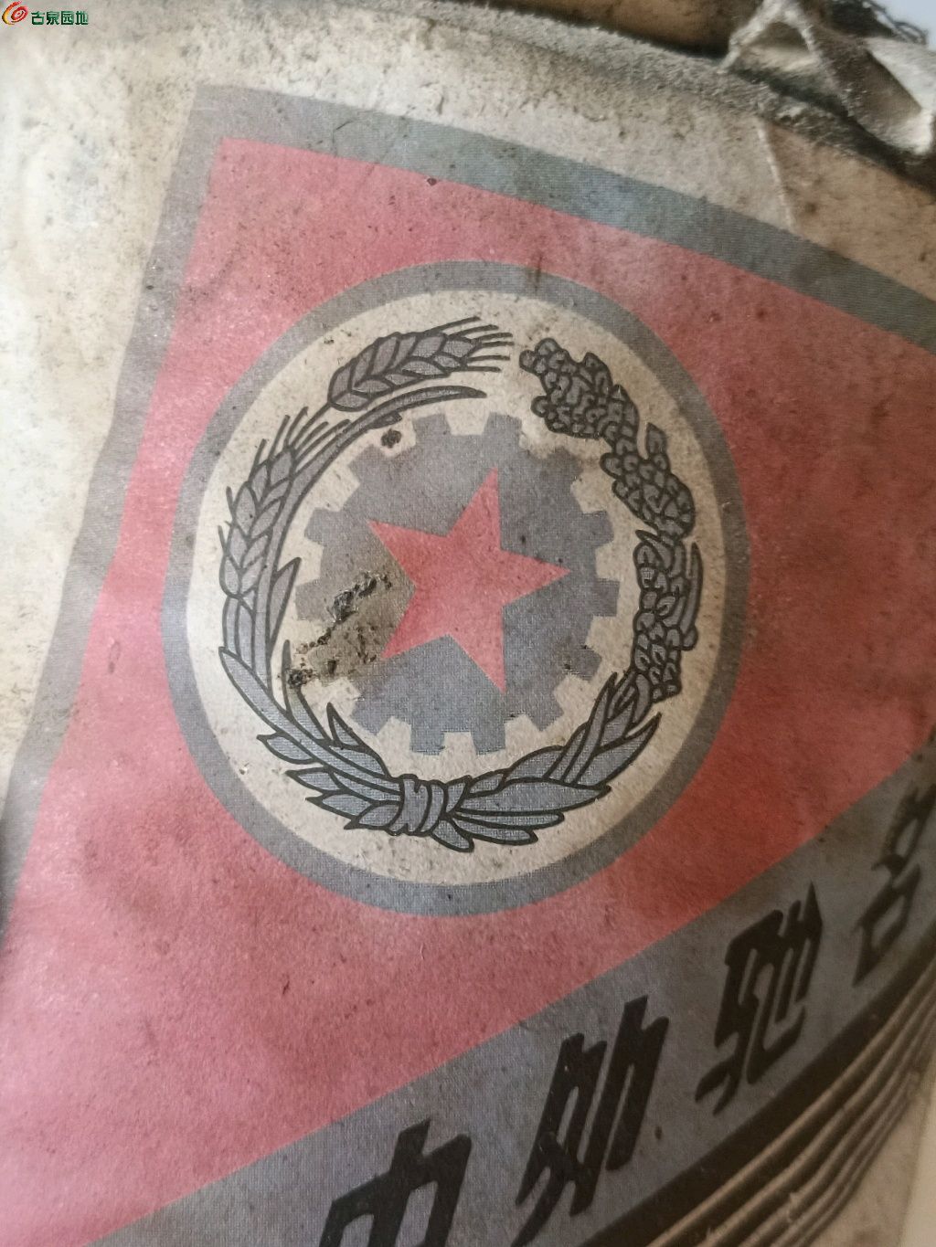 1770191277272.xfile.jpg