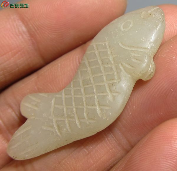 鱼鱼6.jpg