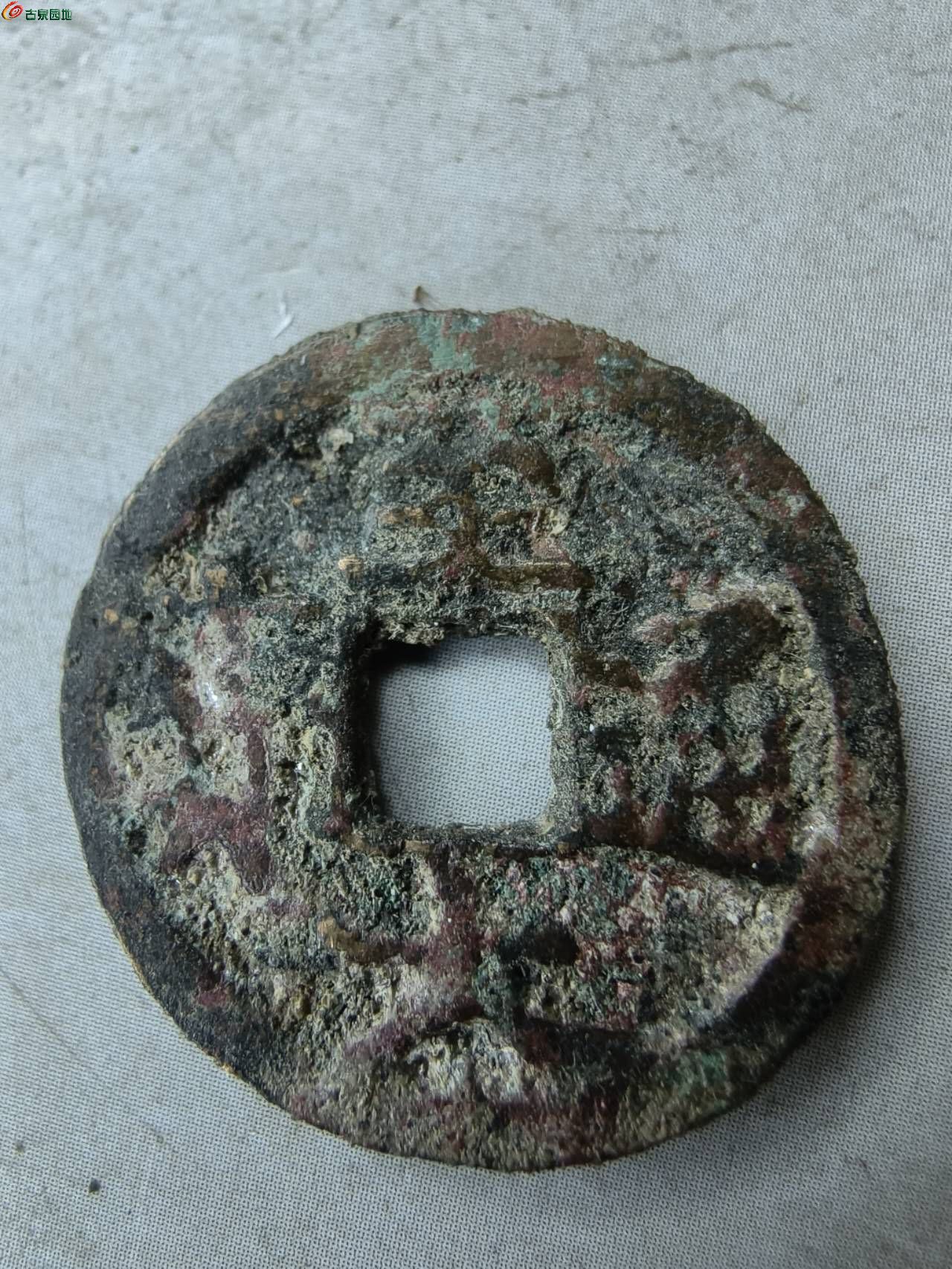15370.jpg