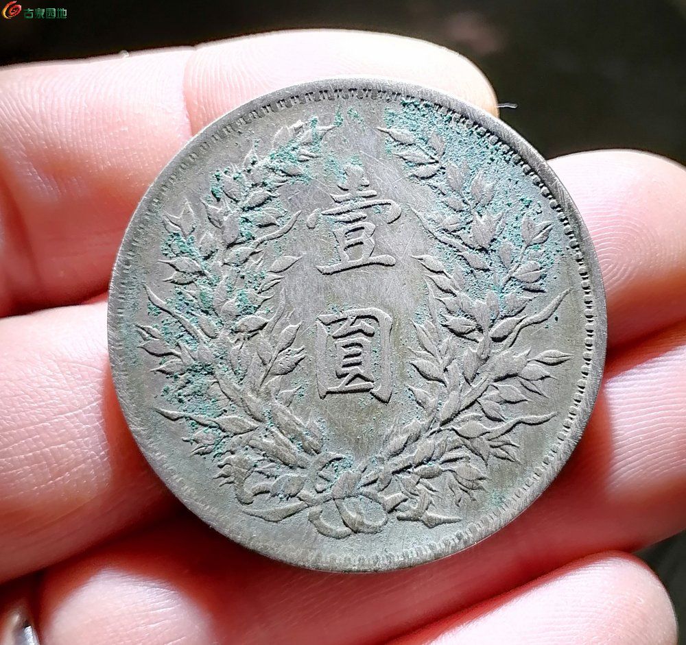 IMG_20260206_171829_edit_56230137285690.