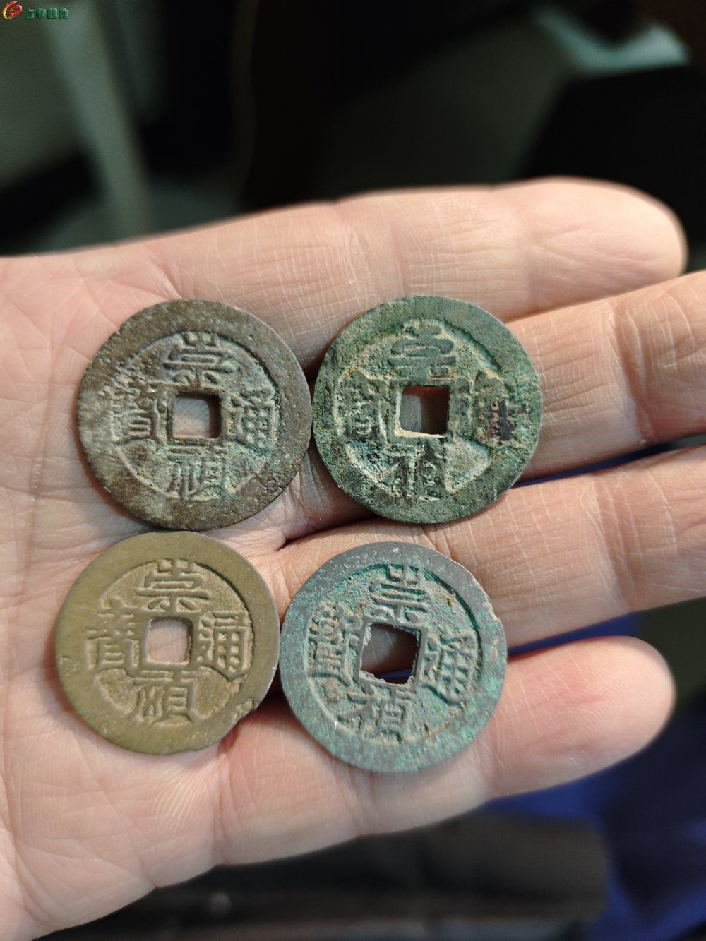 IMG_20260207_015207_1770400727547edit.jp