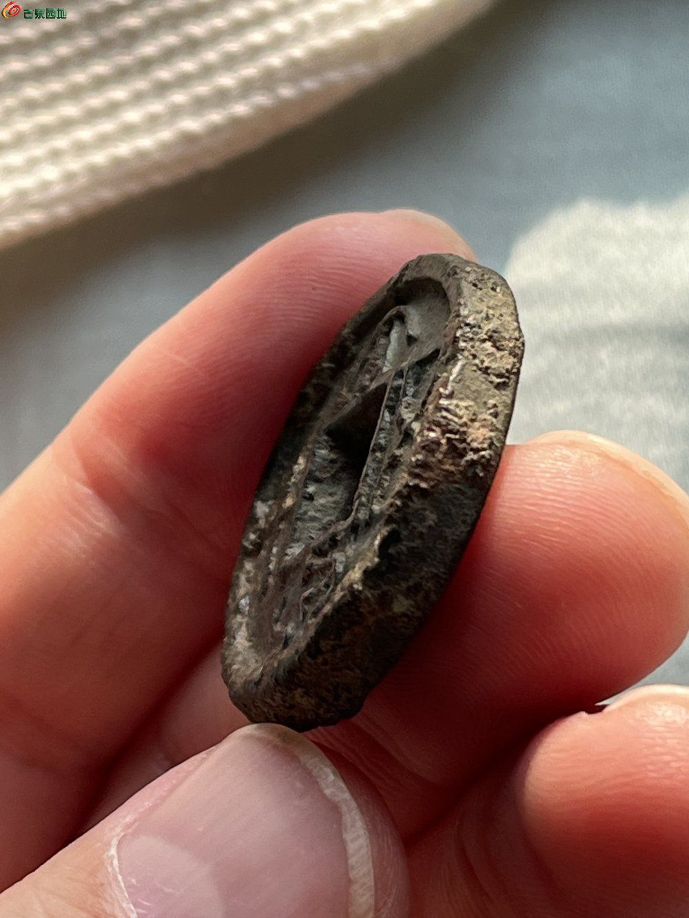 73BB5BFD-9407-42C2-BE5D-7DE0647179A4.jpe