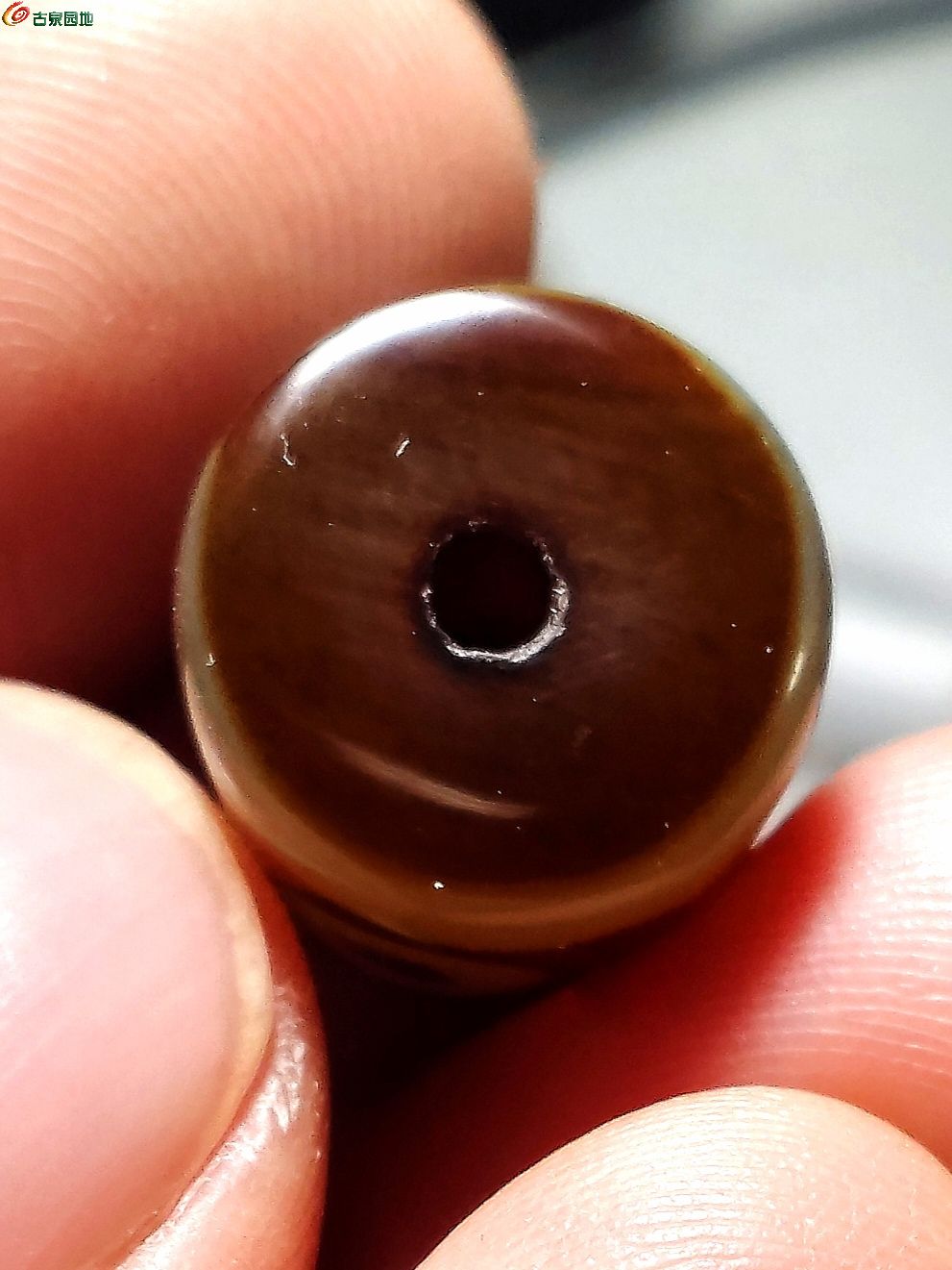 IMG_20260207_202702_edit_262703687809004