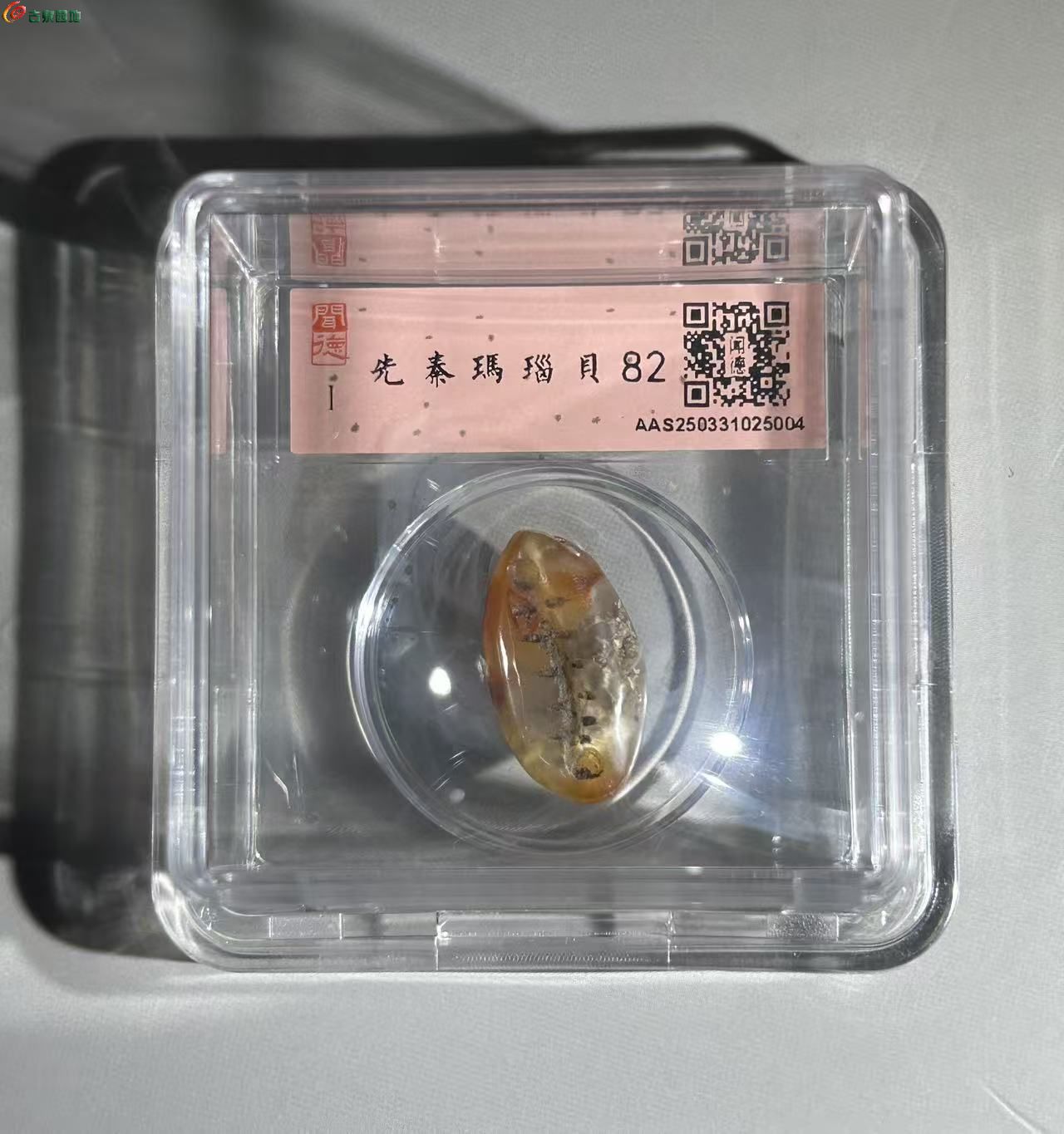 B0620FC9-E88A-49E4-955A-A1F012AC1A2E.jpe