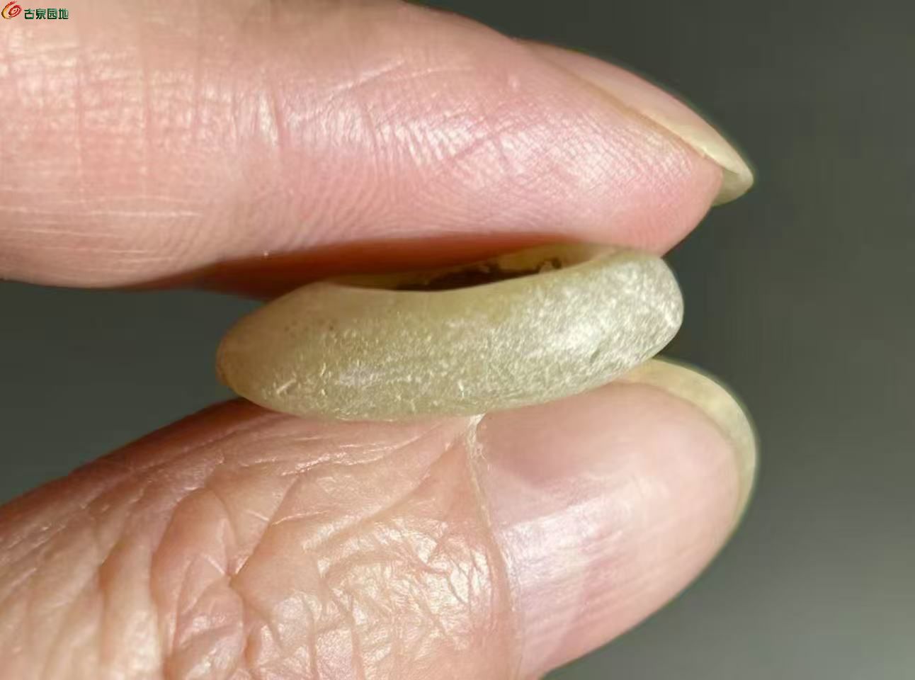 B00207B6-ABF9-488F-AA82-067BE52191D9.jpe