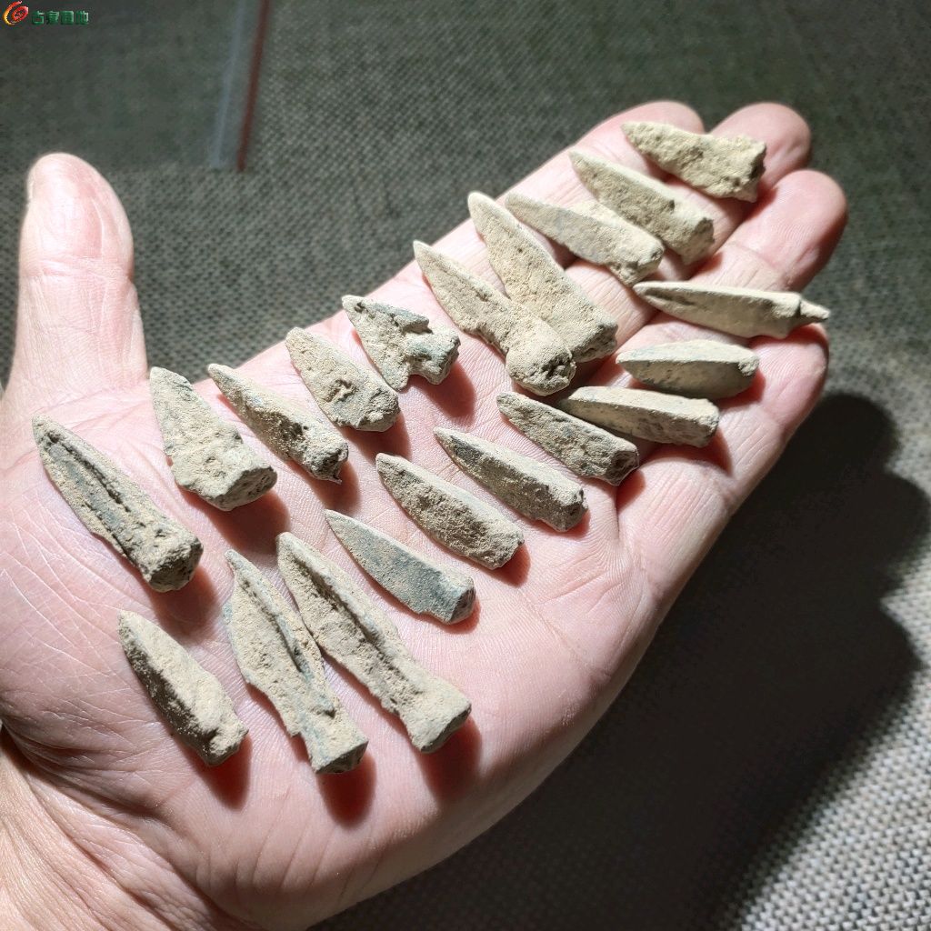 1771422592178.xfile.jpg