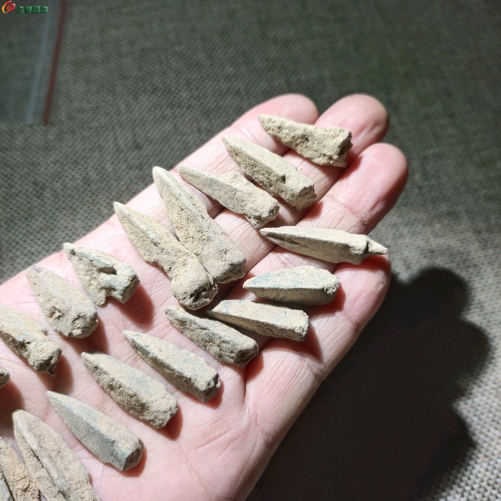 1771422592337.xfile.jpg
