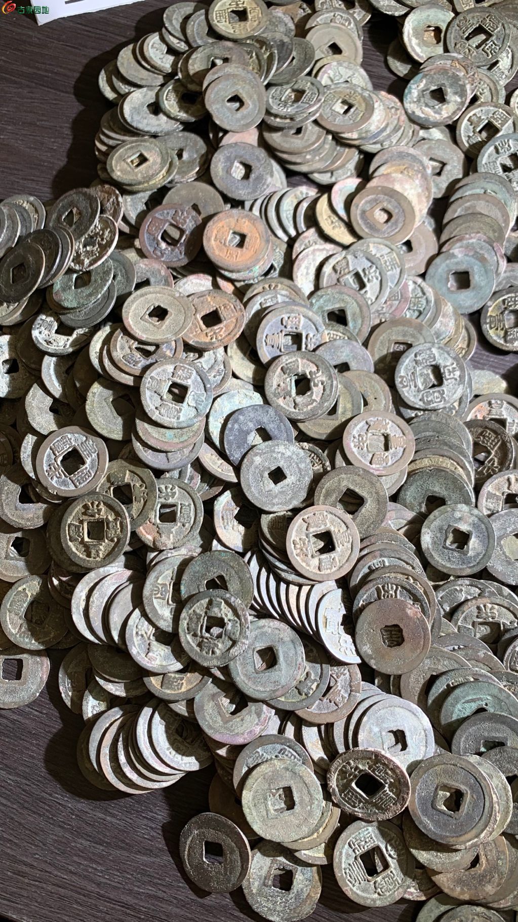 1771490741132.xfile.jpg