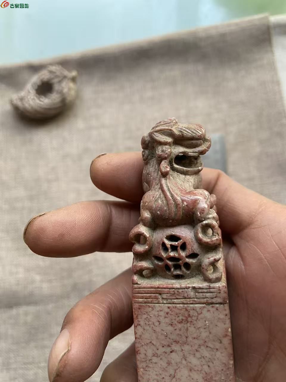 微信图片_20260219165744_424_3.jpg