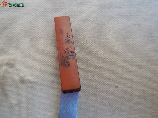 DSCN1602.JPG
