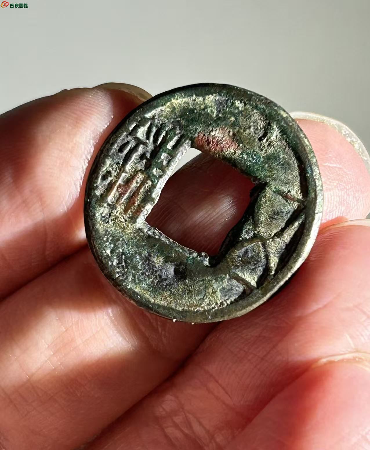 C192AD47-4443-45E4-9714-CEF867210318.jpe