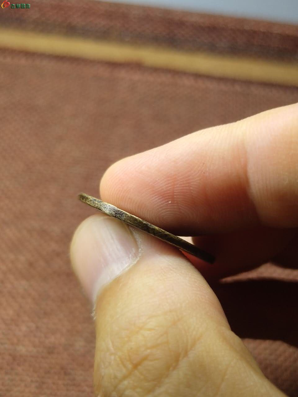 64366.jpg
