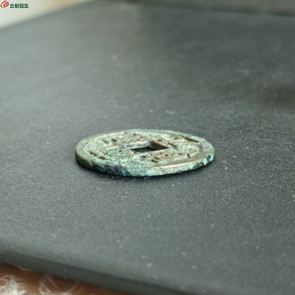 IMG_20260202_140247_edit_49947669811647.