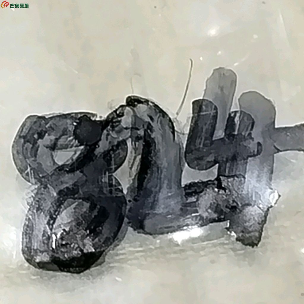 1767606806404.xfile.jpg