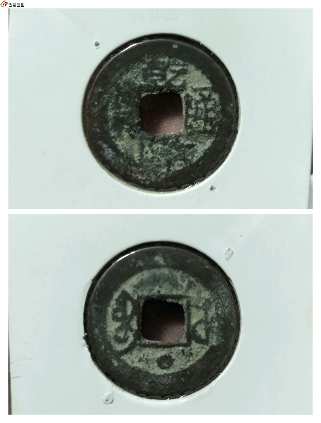 41290.jpg